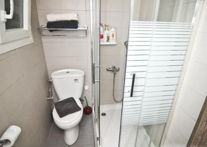 Apartament Vasilikis Spacious *